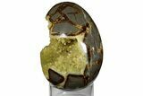 Calcite Crystal Filled Septarian Geode Egg - Utah #176038-1